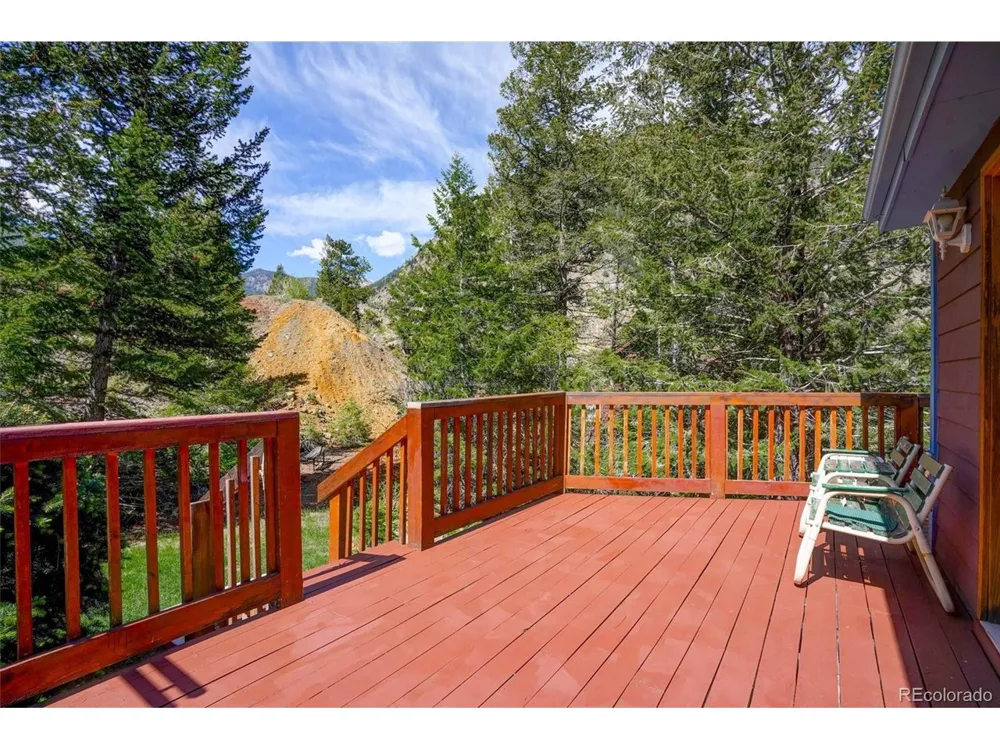 1206 Biddle Street Georgetown, CO 80444