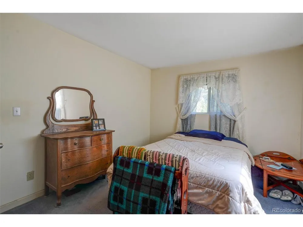 1206 Biddle Street Georgetown, CO 80444