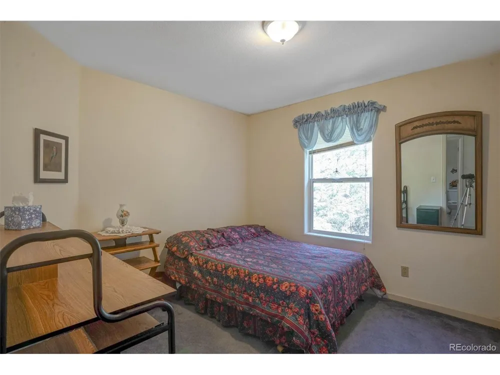 1206 Biddle Street Georgetown, CO 80444