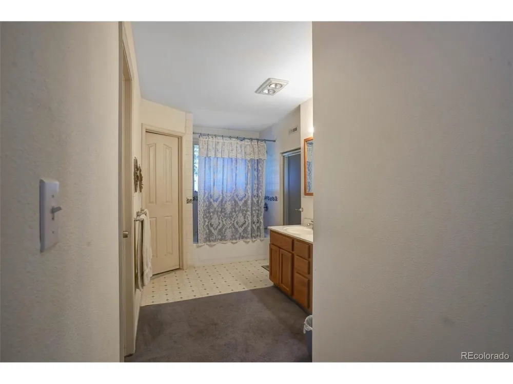1206 Biddle Street Georgetown, CO 80444