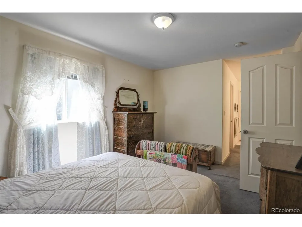 1206 Biddle Street Georgetown, CO 80444