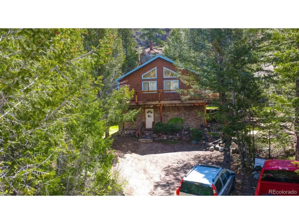 1206 Biddle Street Georgetown, CO 80444
