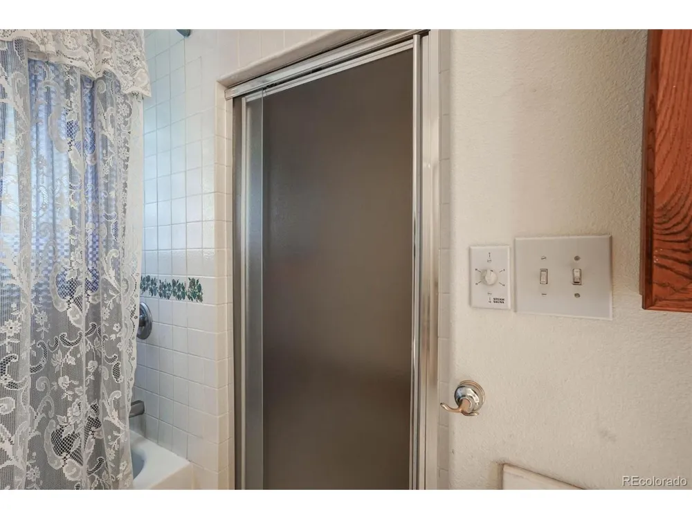 1206 Biddle Street Georgetown, CO 80444