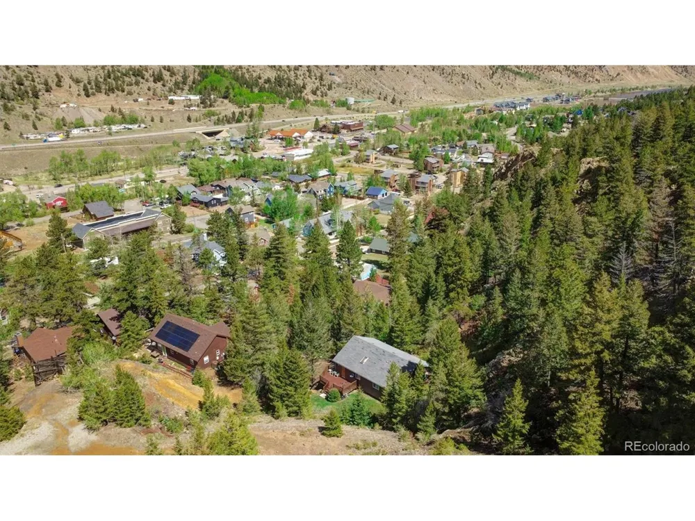 1206 Biddle Street Georgetown, CO 80444