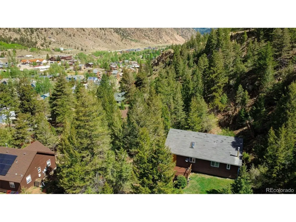 1206 Biddle Street Georgetown, CO 80444