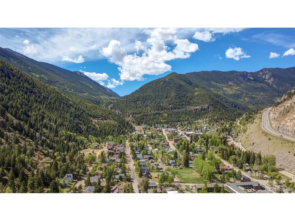 1206 Biddle Street Georgetown, CO 80444