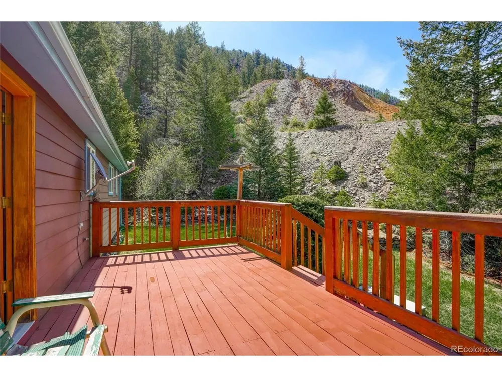 1206 Biddle Street Georgetown, CO 80444