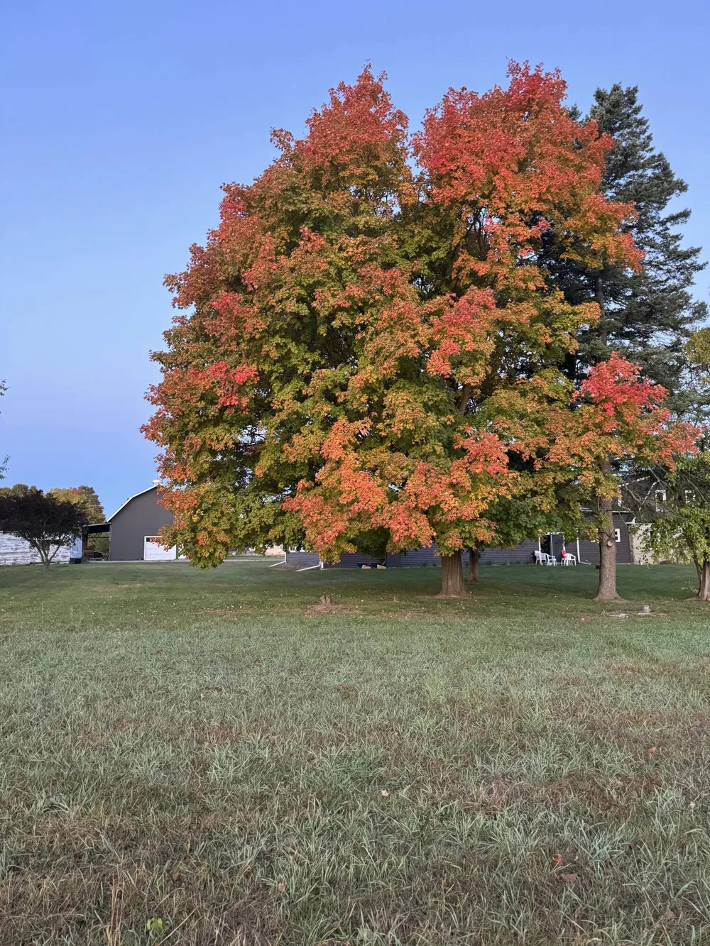 29561 E Red Arrow Highway Antwerp Township, MI 49079