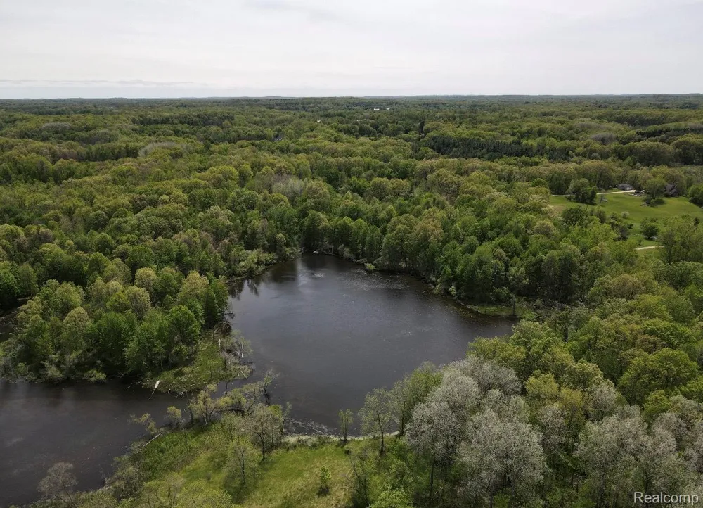 8450 Pepper Road Rose Township, MI 48442