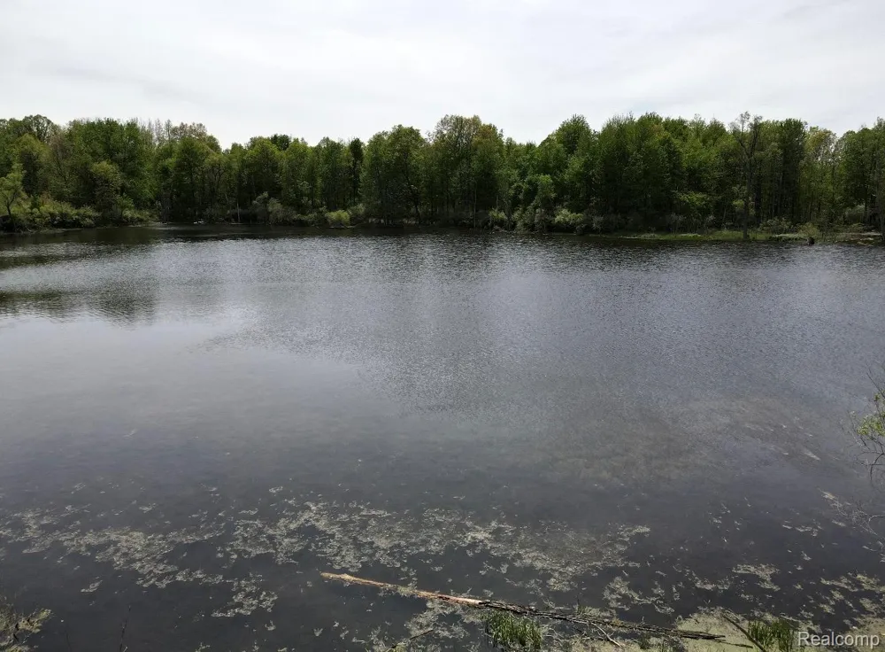 8450 Pepper Road Rose Township, MI 48442