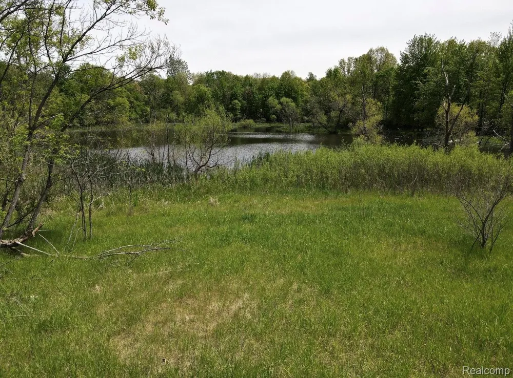8450 Pepper Road Rose Township, MI 48442