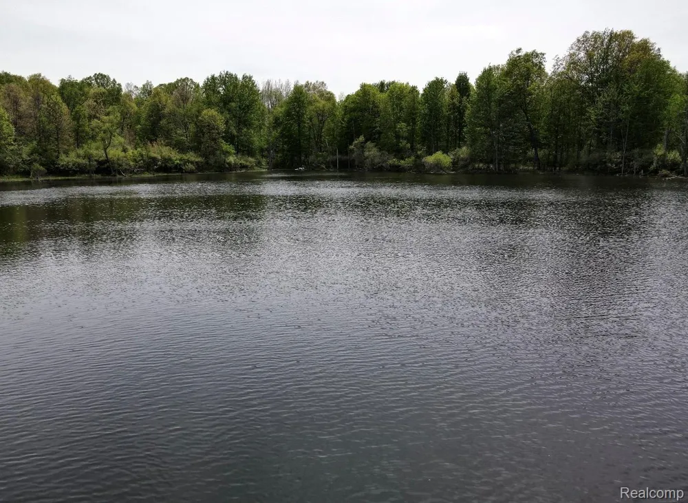 8450 Pepper Road Rose Township, MI 48442