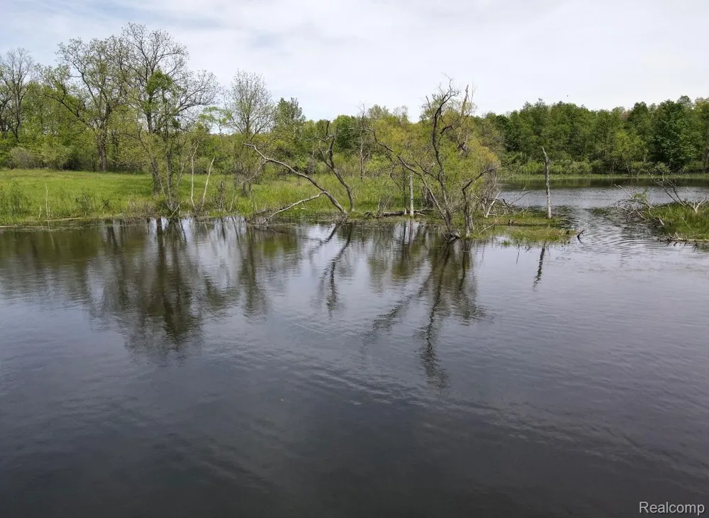 8450 Pepper Road Rose Township, MI 48442
