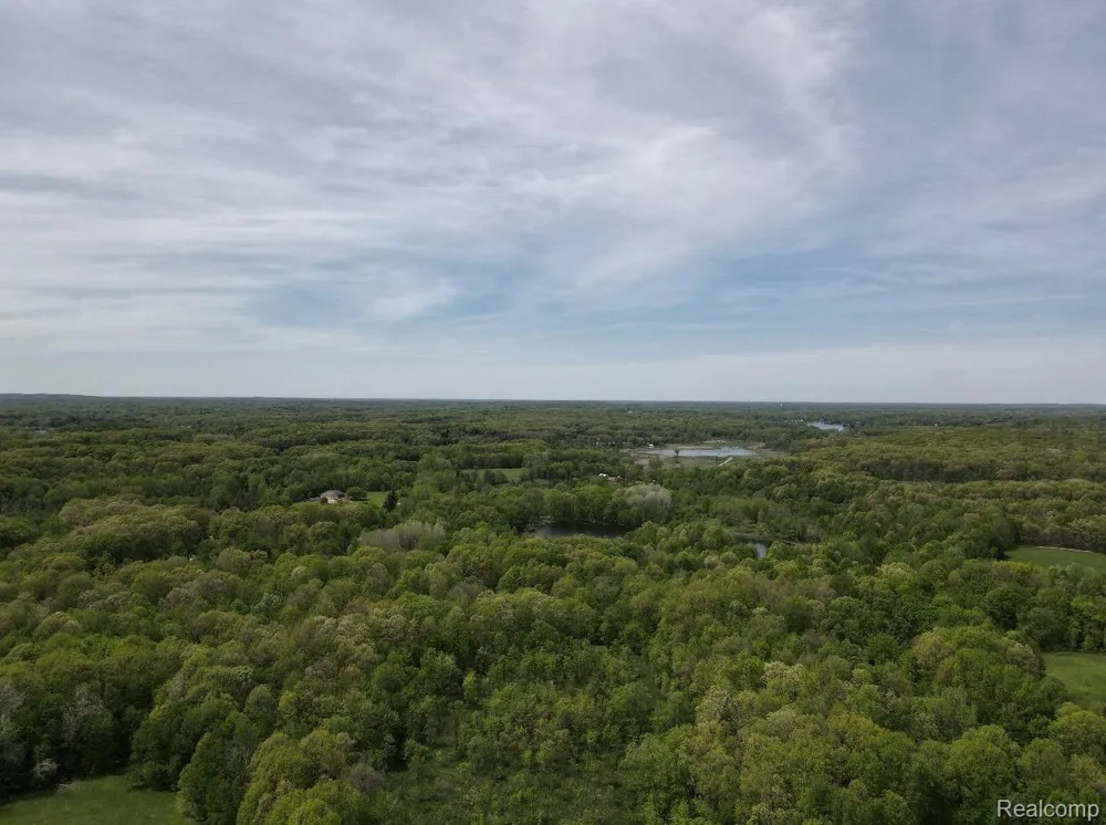 8450 Pepper Road Rose Township, MI 48442