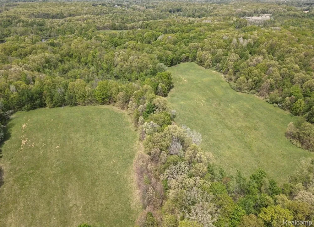 8450 Pepper Road Rose Township, MI 48442