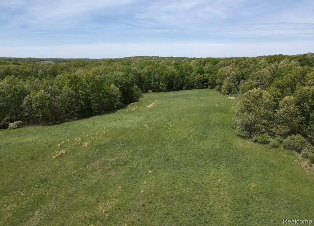 8450 Pepper Road Rose Township, MI 48442