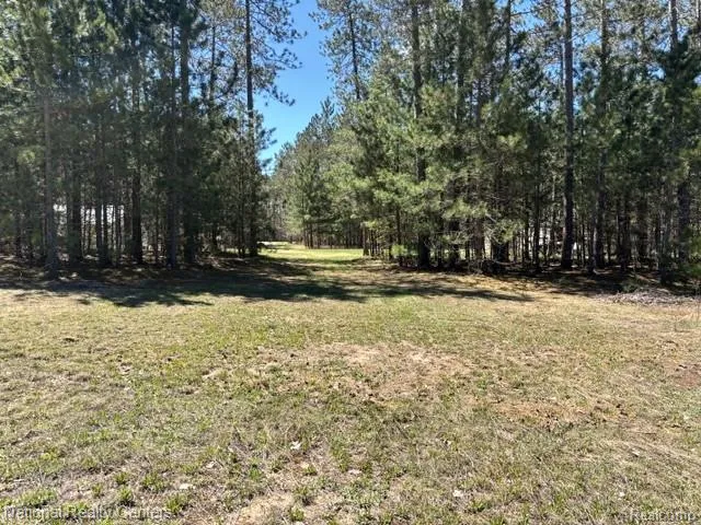 3727 Boardwalk Way NE Rapid River Township, MI 49659