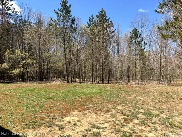 3727 Boardwalk Way NE Rapid River Township, MI 49659