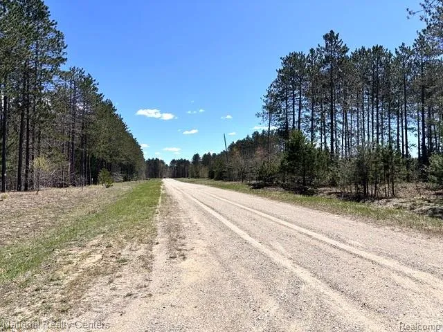 3727 Boardwalk Way NE Rapid River Township, MI 49659