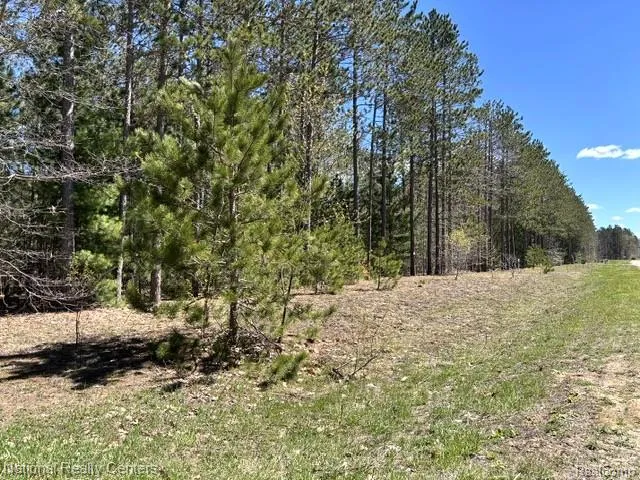 3727 Boardwalk Way NE Rapid River Township, MI 49659