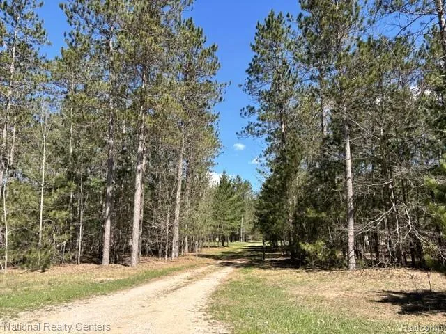 3727 Boardwalk Way NE Rapid River Township, MI 49659