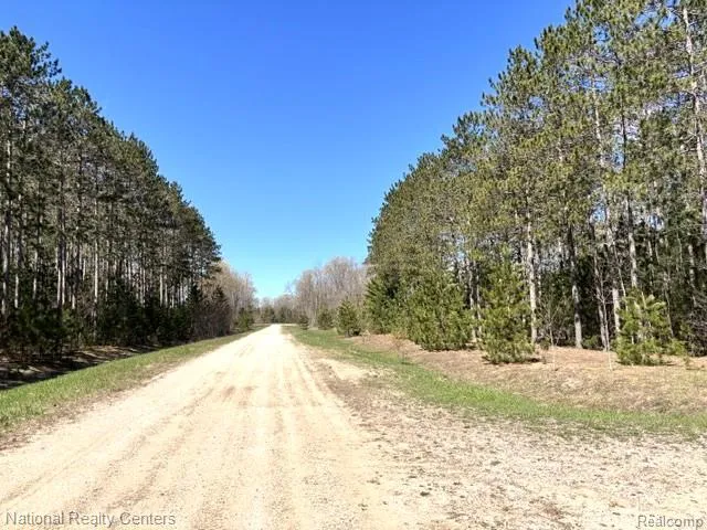 3727 Boardwalk Way NE Rapid River Township, MI 49659