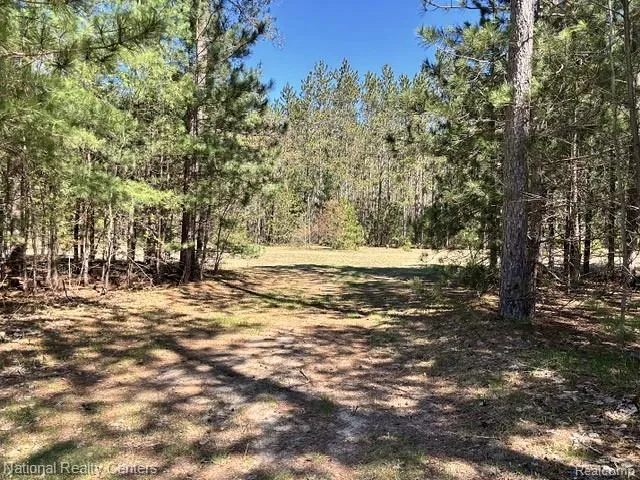 3727 Boardwalk Way NE Rapid River Township, MI 49659