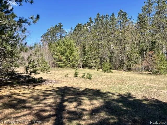 3727 Boardwalk Way NE Rapid River Township, MI 49659