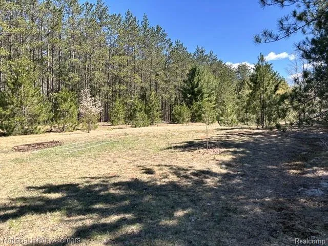 3727 Boardwalk Way NE Rapid River Township, MI 49659