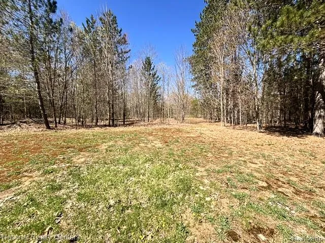 3727 Boardwalk Way NE Rapid River Township, MI 49659