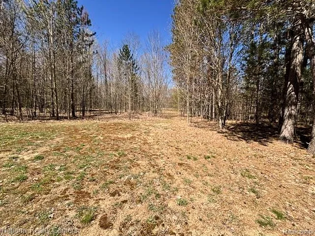 3727 Boardwalk Way NE Rapid River Township, MI 49659