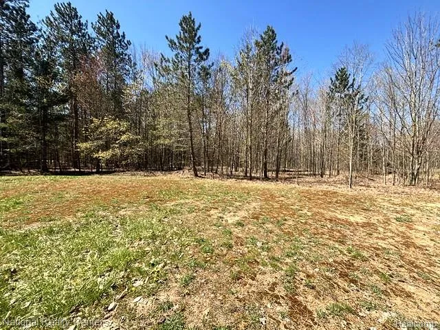 3727 Boardwalk Way NE Rapid River Township, MI 49659