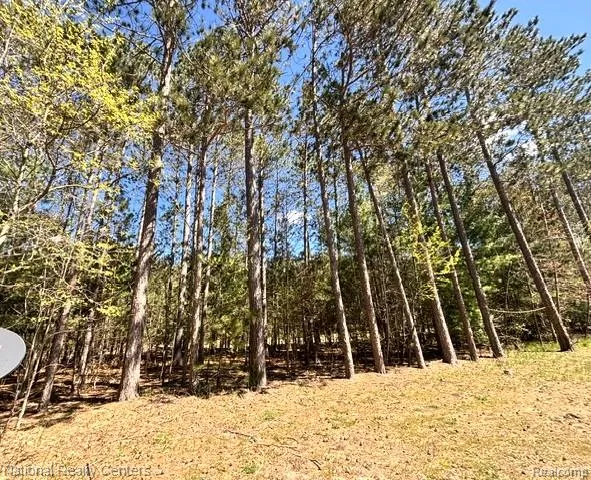 3727 Boardwalk Way NE Rapid River Township, MI 49659