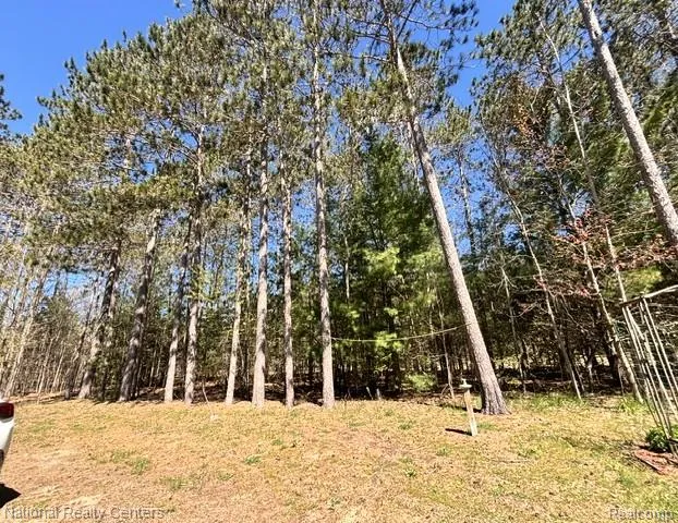 3727 Boardwalk Way NE Rapid River Township, MI 49659