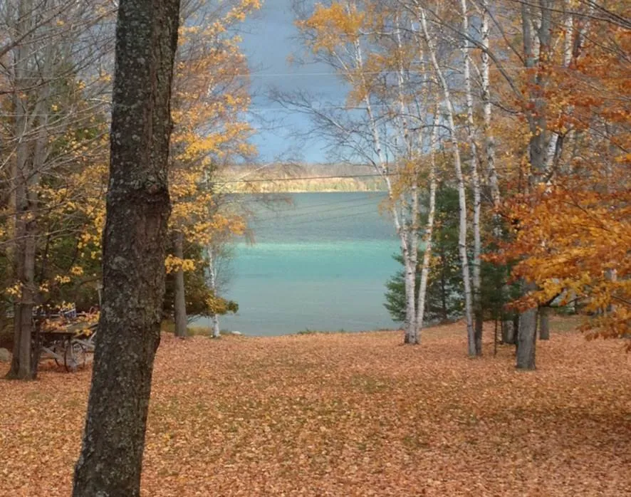 1387 West Torch Lake Drive Torch Lake Township, MI 49648