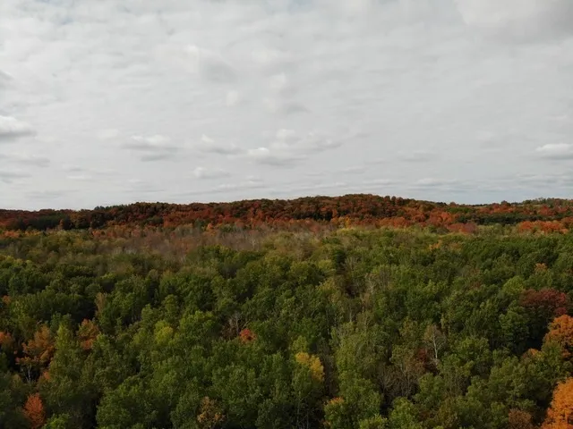 1387 West Torch Lake Drive Torch Lake Township, MI 49648