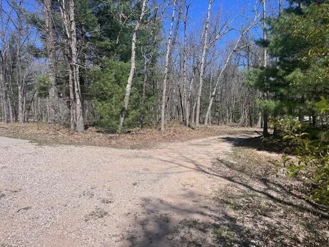 1990 Skocelas Road S Stronach Township, MI 49660