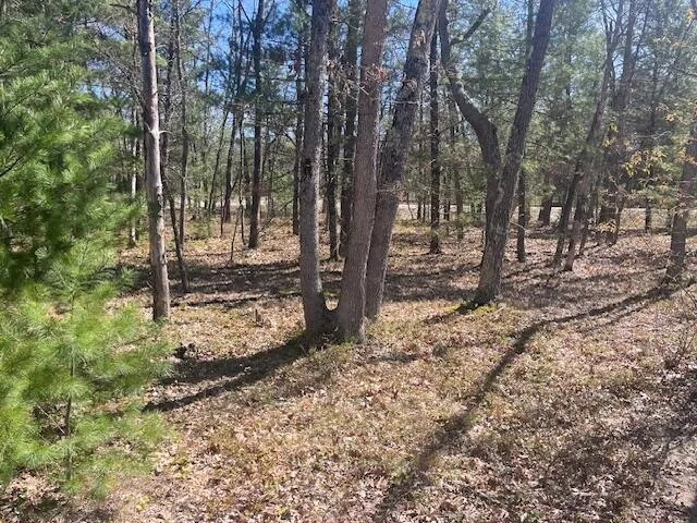 1990 Skocelas Road S Stronach Township, MI 49660