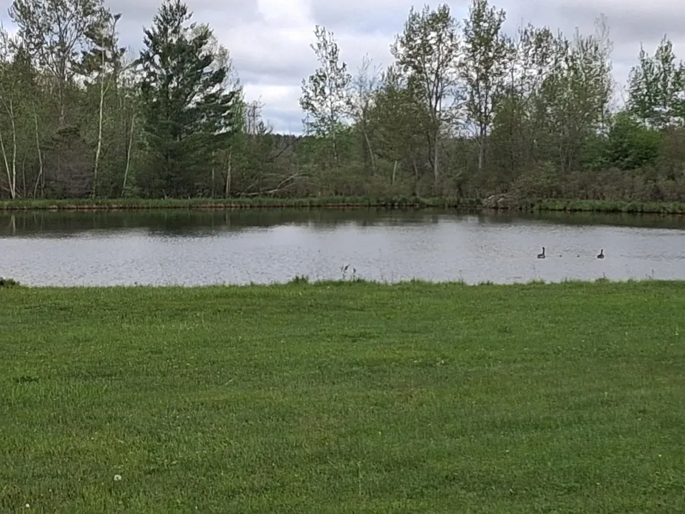 90 River Drive Butterfield Township, MI 49667