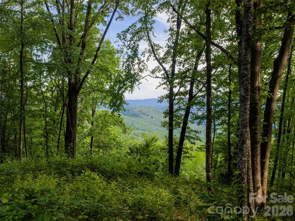 000 New Sprout Lane #2 Hendersonville, NC 28792