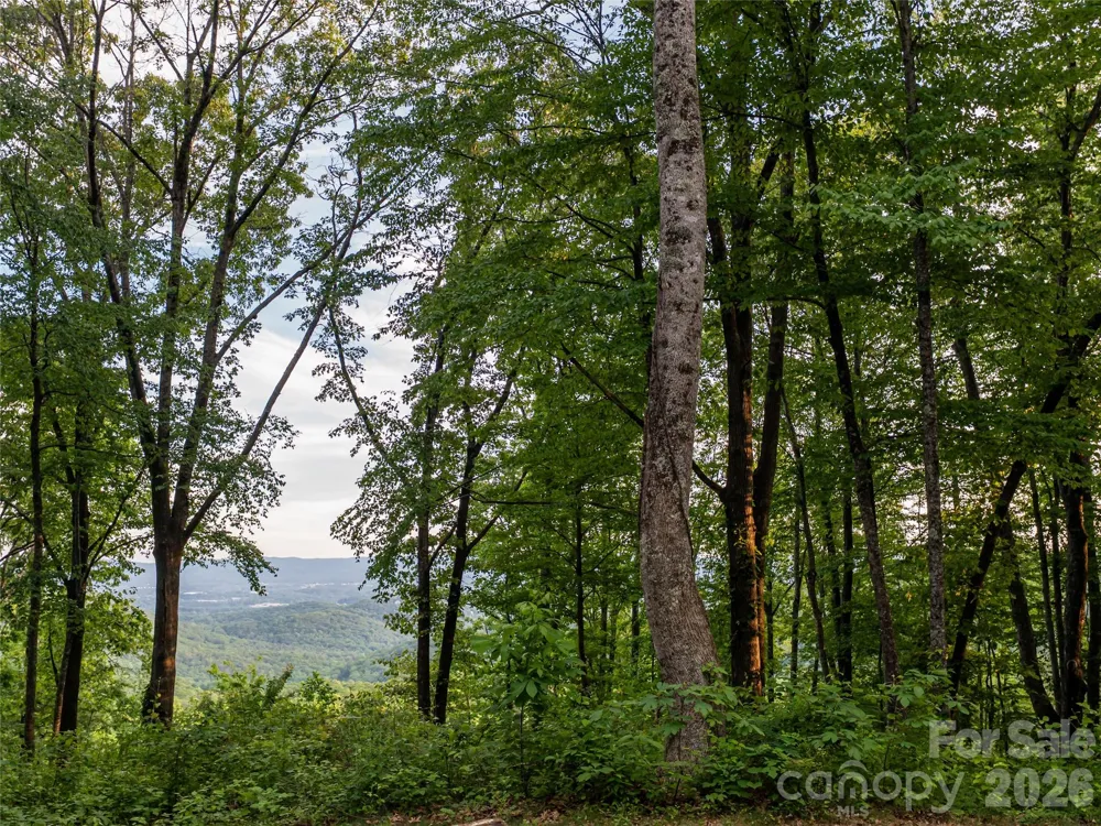 000 New Sprout Lane #2 Hendersonville, NC 28792