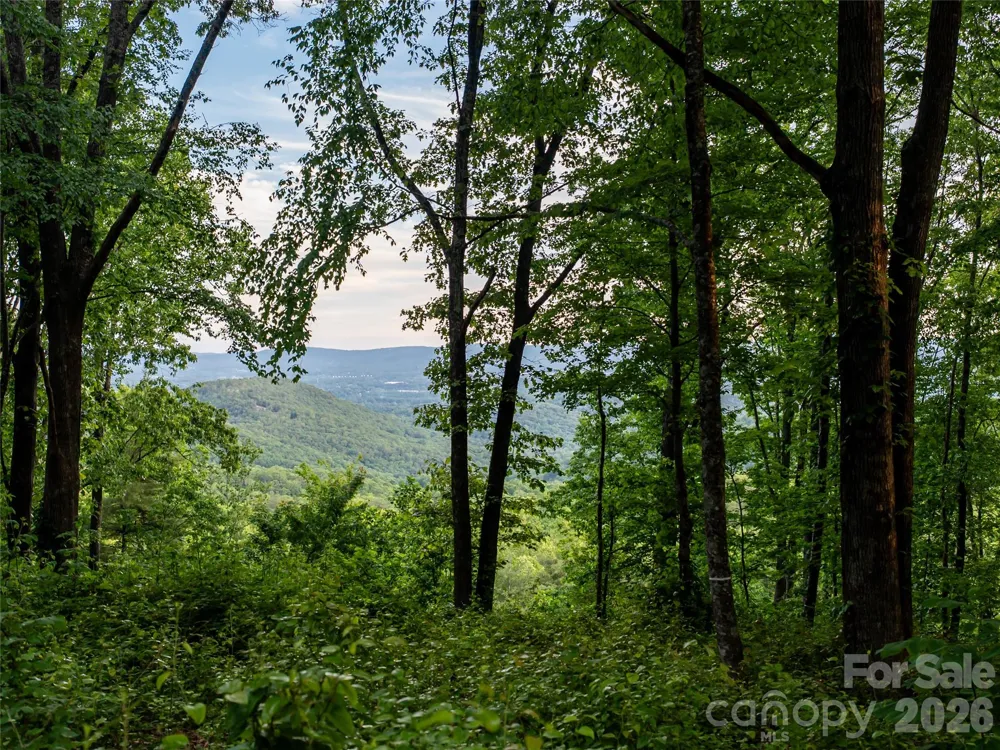 000 New Sprout Lane #2 Hendersonville, NC 28792