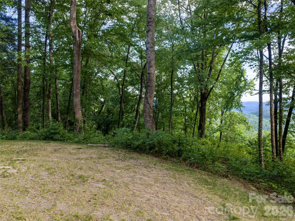 000 New Sprout Lane #2 Hendersonville, NC 28792