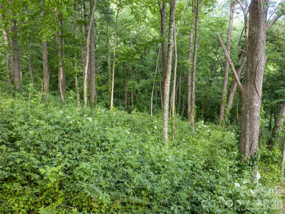 000 New Sprout Lane #2 Hendersonville, NC 28792