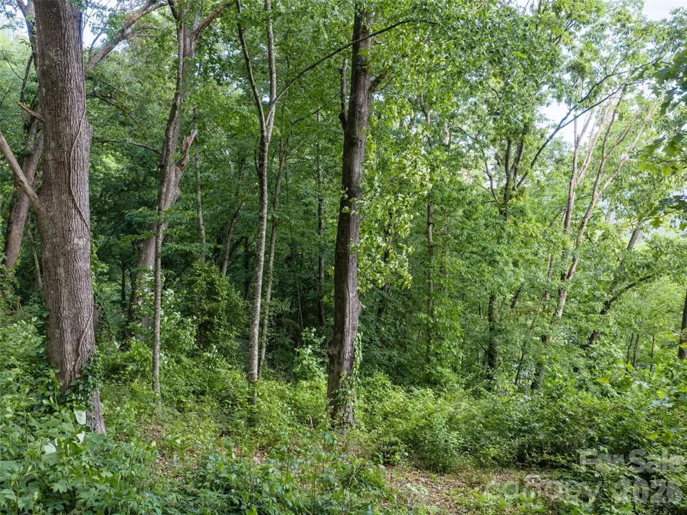 000 New Sprout Lane #2 Hendersonville, NC 28792
