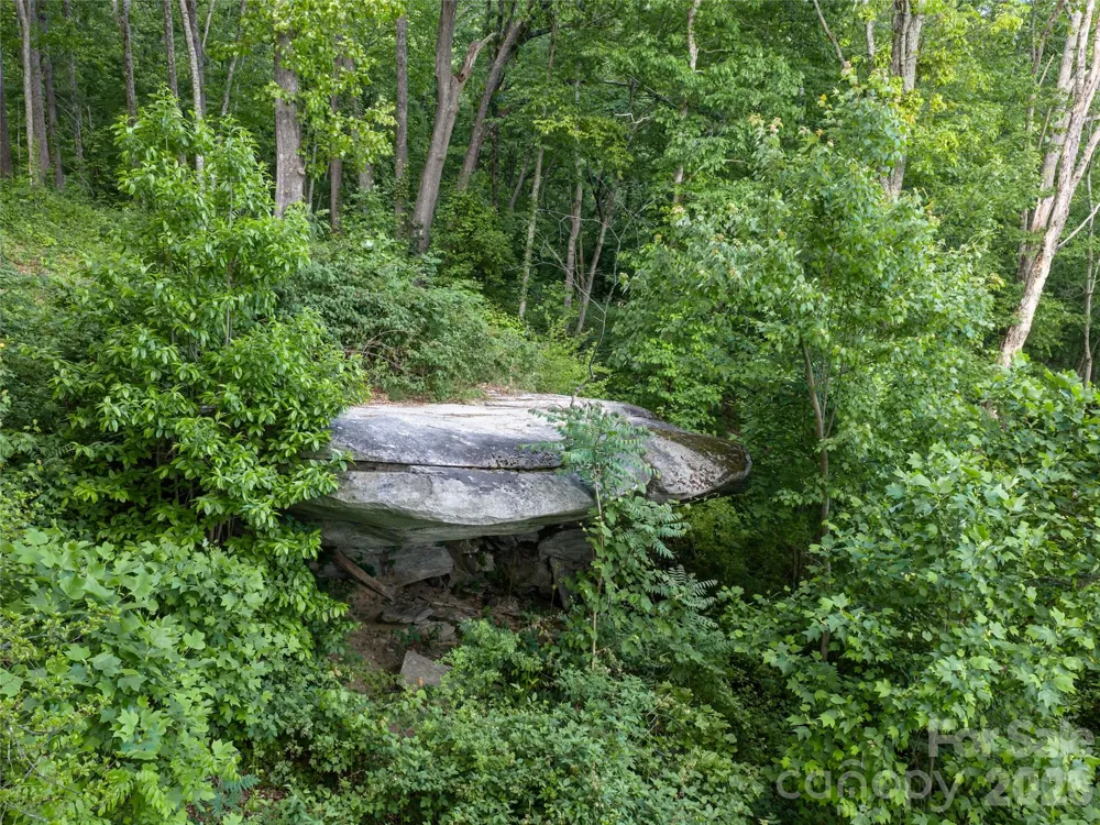 000 New Sprout Lane #2 Hendersonville, NC 28792