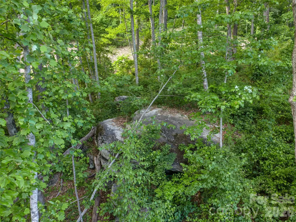000 New Sprout Lane #2 Hendersonville, NC 28792