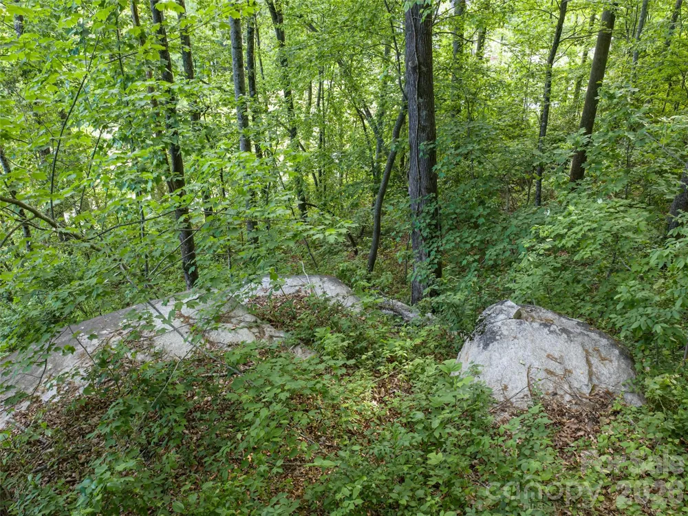 000 New Sprout Lane #2 Hendersonville, NC 28792