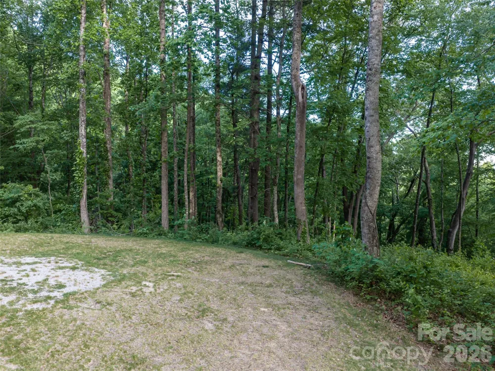 000 New Sprout Lane #2 Hendersonville, NC 28792
