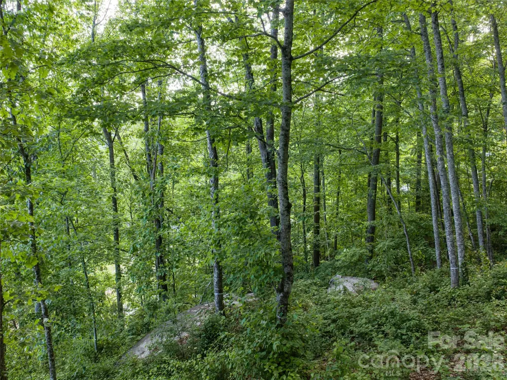 000 New Sprout Lane #2 Hendersonville, NC 28792